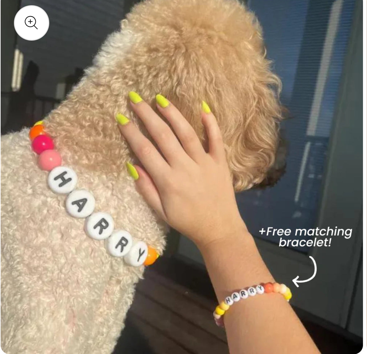 Friendship Collar and Bracelet