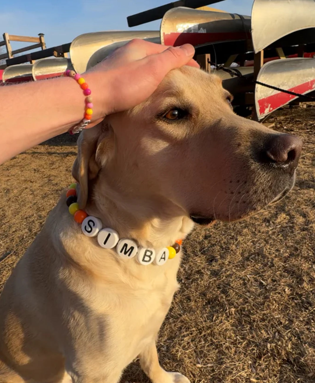 Friendship Collar and Bracelet